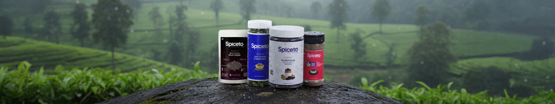 spice companies in kerala