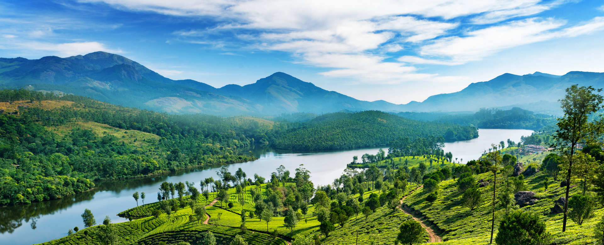 idukki spices garden